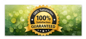 Dental Pro 7 so Unique