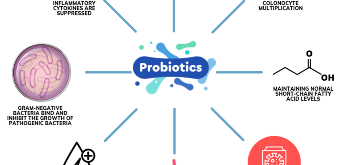 Dental Pro 7 Ingredients Review