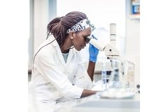 Dental Pro 7 Ingredients Review