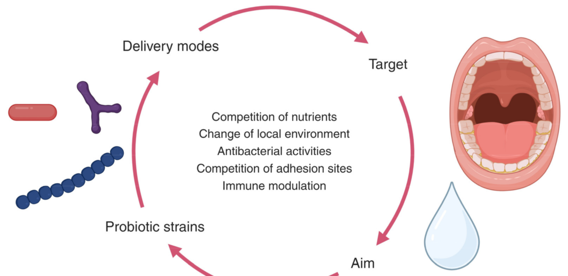 dental pro 7 review probiotic1